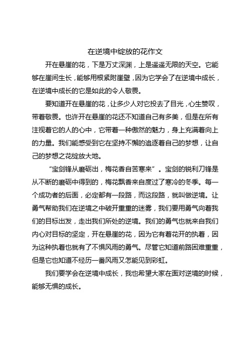 关于在逆境中绽放的作文