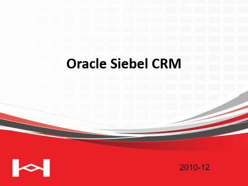 Oracle CRM(Siebel)