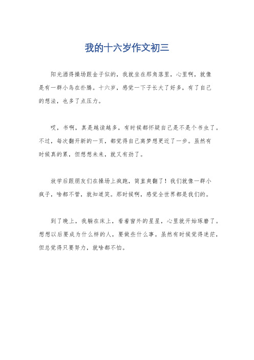 我的十六岁作文初三