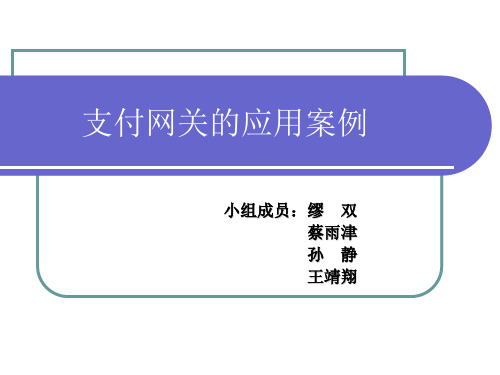 支付网关的应用案例