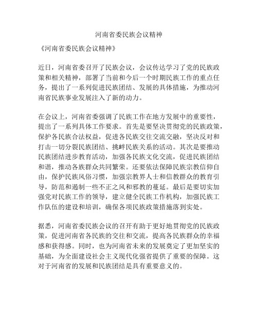 河南省委民族会议精神