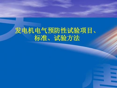 发电机电气预防性试验项目标准试验方法ppt课件