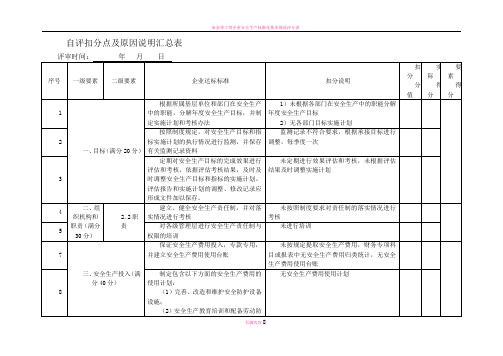 安全生产标准化自评扣分点及原因说明汇总表