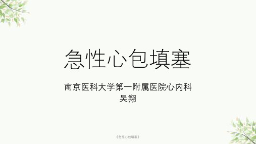 《急性心包填塞》课件