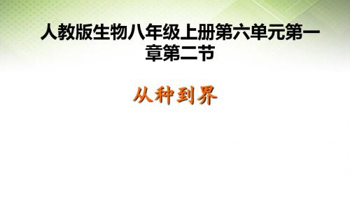 人教版生物八年级上册6.1.2从种到界 (共53张PPT)