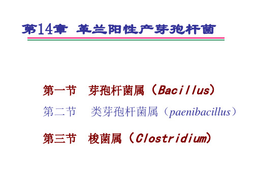 第14章 革兰阳性产芽孢杆菌