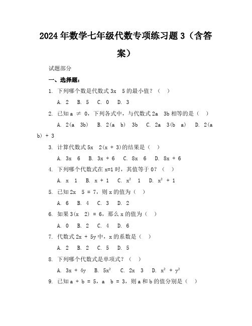 2024年数学七年级代数专项练习题3(含答案)