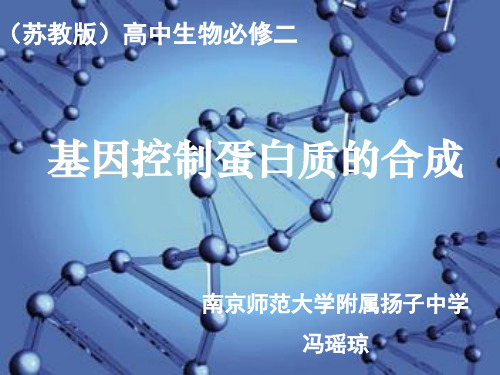 基因控制蛋白质的合成(35张PPT)
