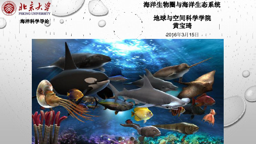 海洋生物圈与海洋生态系统 黄宝琦