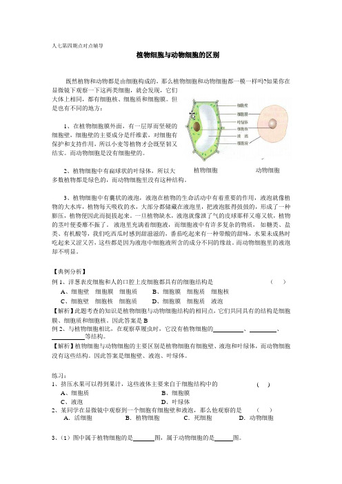 植物细胞与动物细胞的区别(吉林张硕)