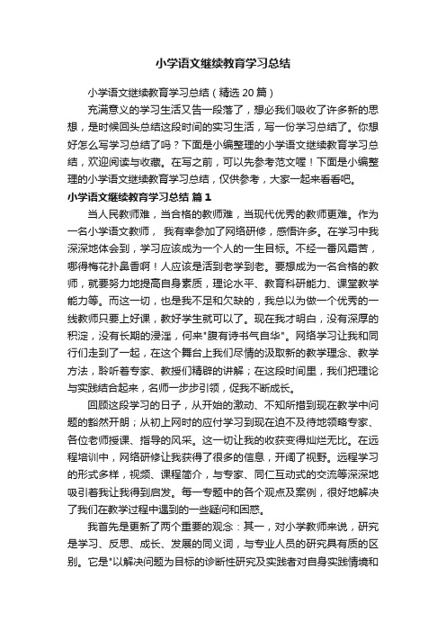 小学语文继续教育学习总结（精选20篇）