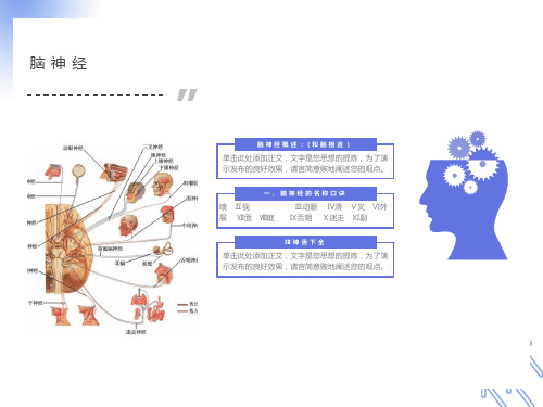 脑神经-四种纤维