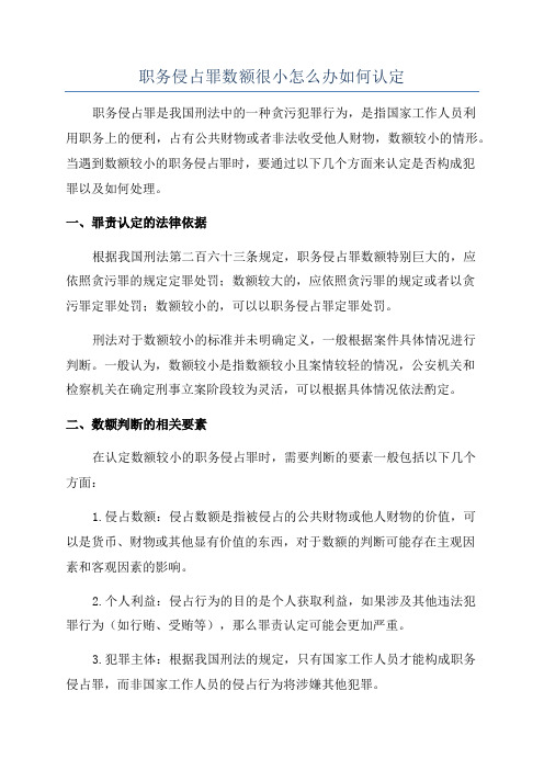 职务侵占罪数额很小怎么办如何认定