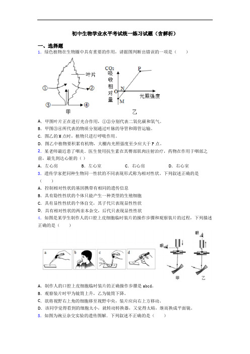 初中生物学业水平考试统一练习试题(含解析)