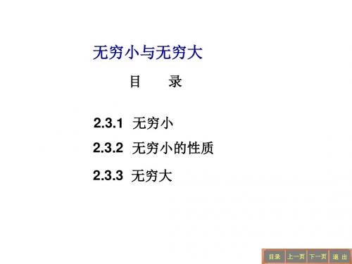 高等数学无穷小与无穷大