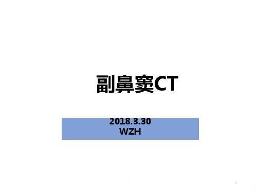 副鼻窦CTPPT课件