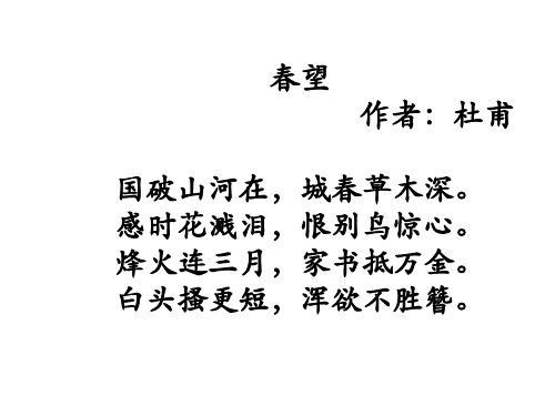 人教版高中语文选修“中国古代诗歌散文欣赏”《阁夜》授课课件(22张PPT)