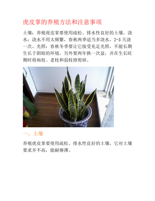 虎皮掌的养殖方法和注意事项