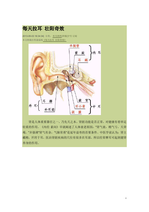 每天拉耳 壮阳奇效