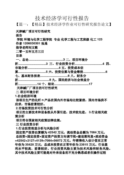 工作报告之技术经济学可行性报告