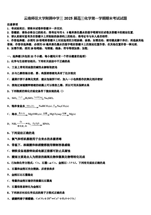 云南师范大学附属中学三2025届高三化学第一学期期末考试试题含解析