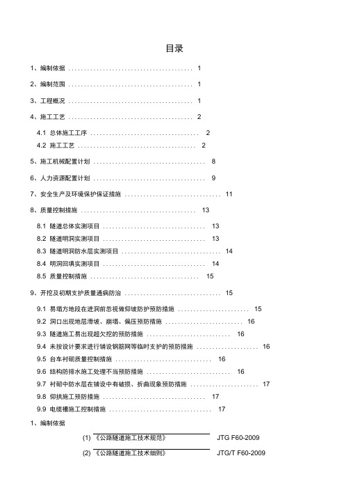 隧道明洞及洞口专项方案