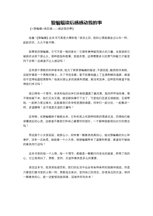 狼蝙蝠读后感感动我的事