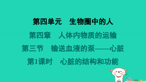 七年级生物下册第四单元第四章第三节输送血液的泵__心脏第1课时心脏的结构和功能习题新版新人教版