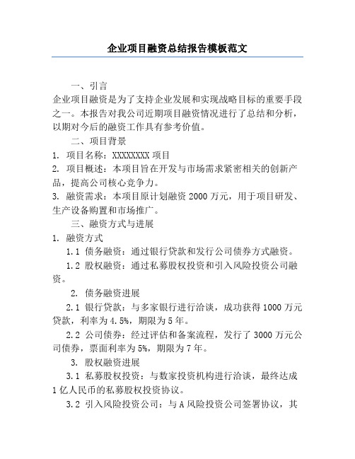 企业项目融资总结报告模板范文