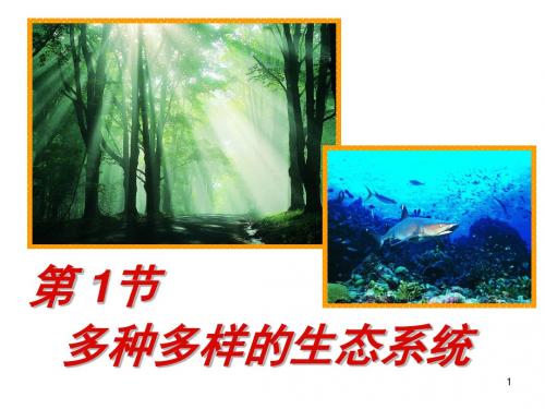 苏科版七年级生物上册《  第一节 多种多样的生态系统》课件6