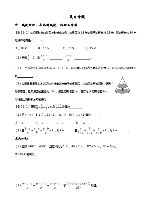 八年级上册数学期中专题复习