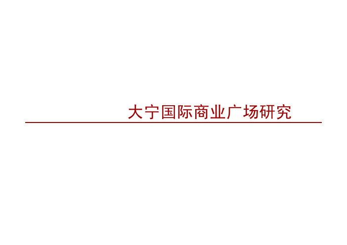 山西大宁国际商业广场项目研究报告前期策划