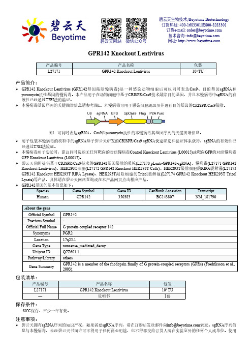 GPR142 敲除慢病毒说明书