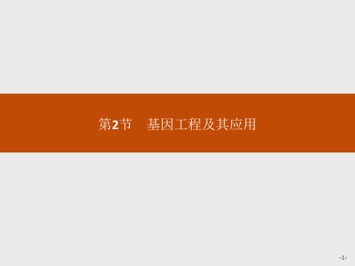 生物必修Ⅱ人教新课标6-2基因工程及其应用课件(22张)