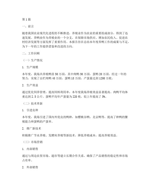 养鸭年终工作总结报告范文(3篇)