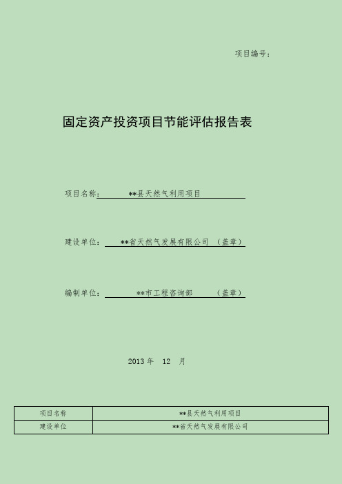 天然气利用项目节能评估报告