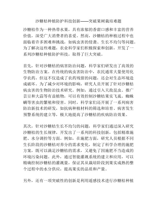 沙糖桔种植防护科技创新——突破果树栽培难题