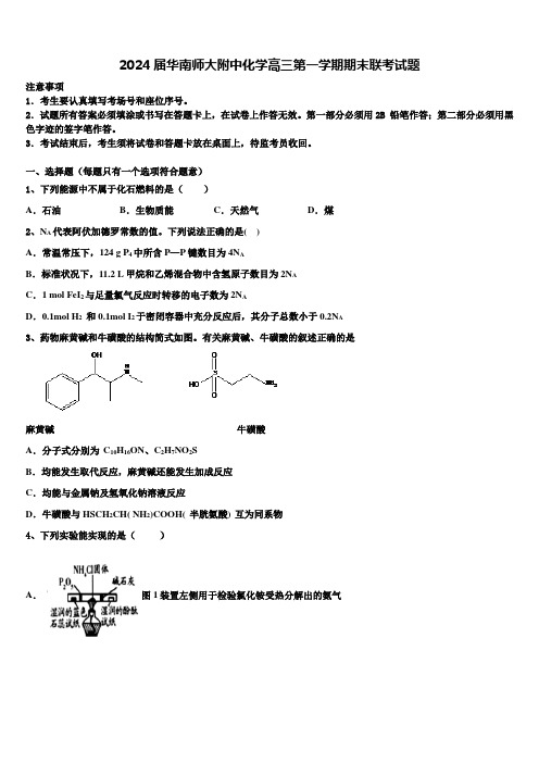 2024届华南师大附中化学高三第一学期期末联考试题含解析