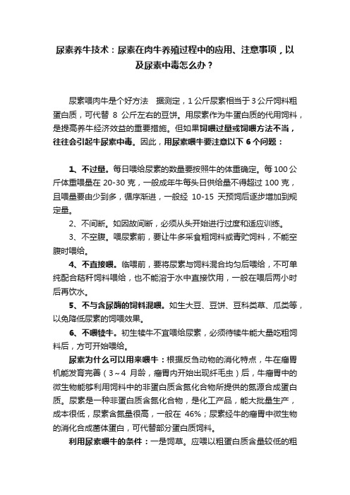 尿素养牛技术：尿素在肉牛养殖过程中的应用、注意事项，以及尿素中毒怎么办？