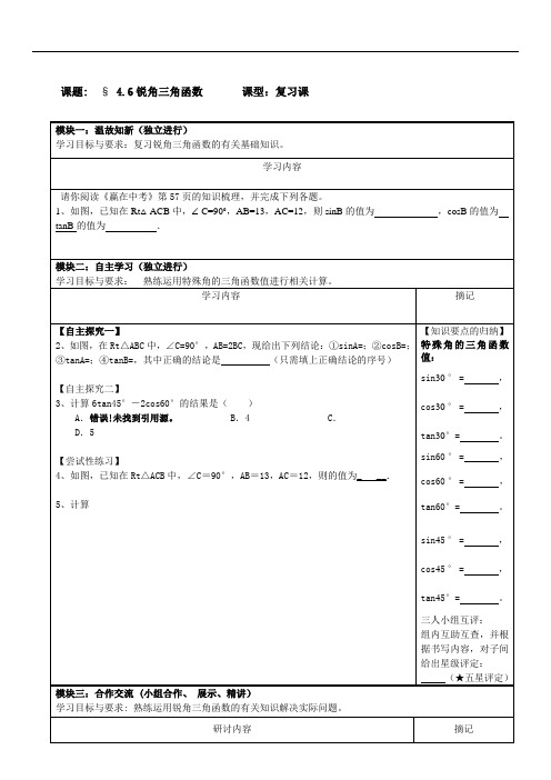 广东省河源市中英文实验学校九年级数学总复习讲学稿：