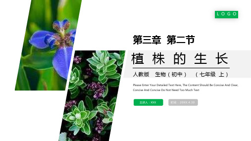 《植株的生长》人教版七年级初一生物上册PPT课件