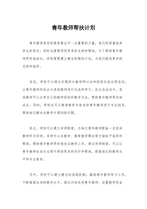 青年教师帮扶计划