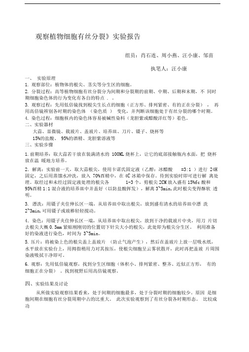 《观察植物细胞有丝分裂》实验报告