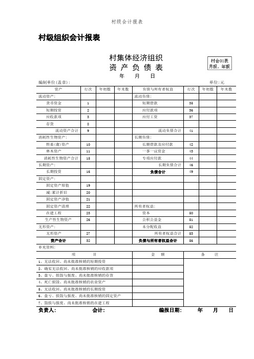 村级会计报表