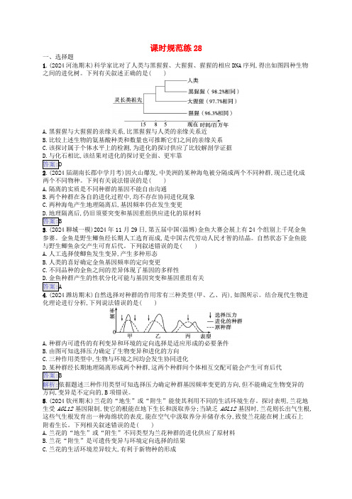 适用于新教材2025版高考生物一轮总复习课时规范练28生物的进化新人教版