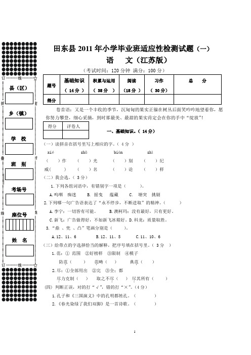 田东县2011年小学毕业水平测试适应性试题(一)ok