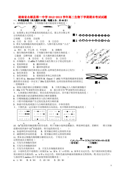 湖南省永顺县第一中学高二生物下学期期末考试试题