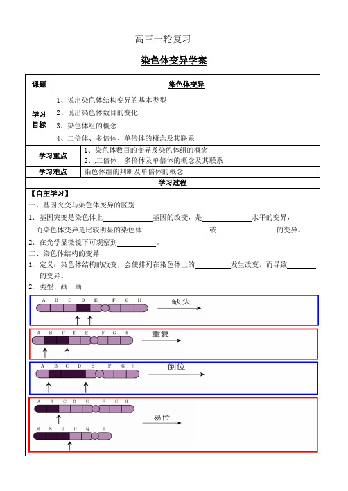 吴波--学案--染色体变异