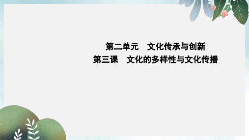 人教版高中政治必修3第二单元 文化传承与创新第三课 文化的多样性与文化传播教案(3)