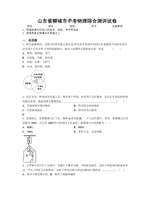 最新山东省聊城市中考物理综合测评试卷及解析